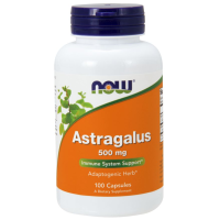 ASTRAGALUS 500mg 100 CAPS NOW Foods